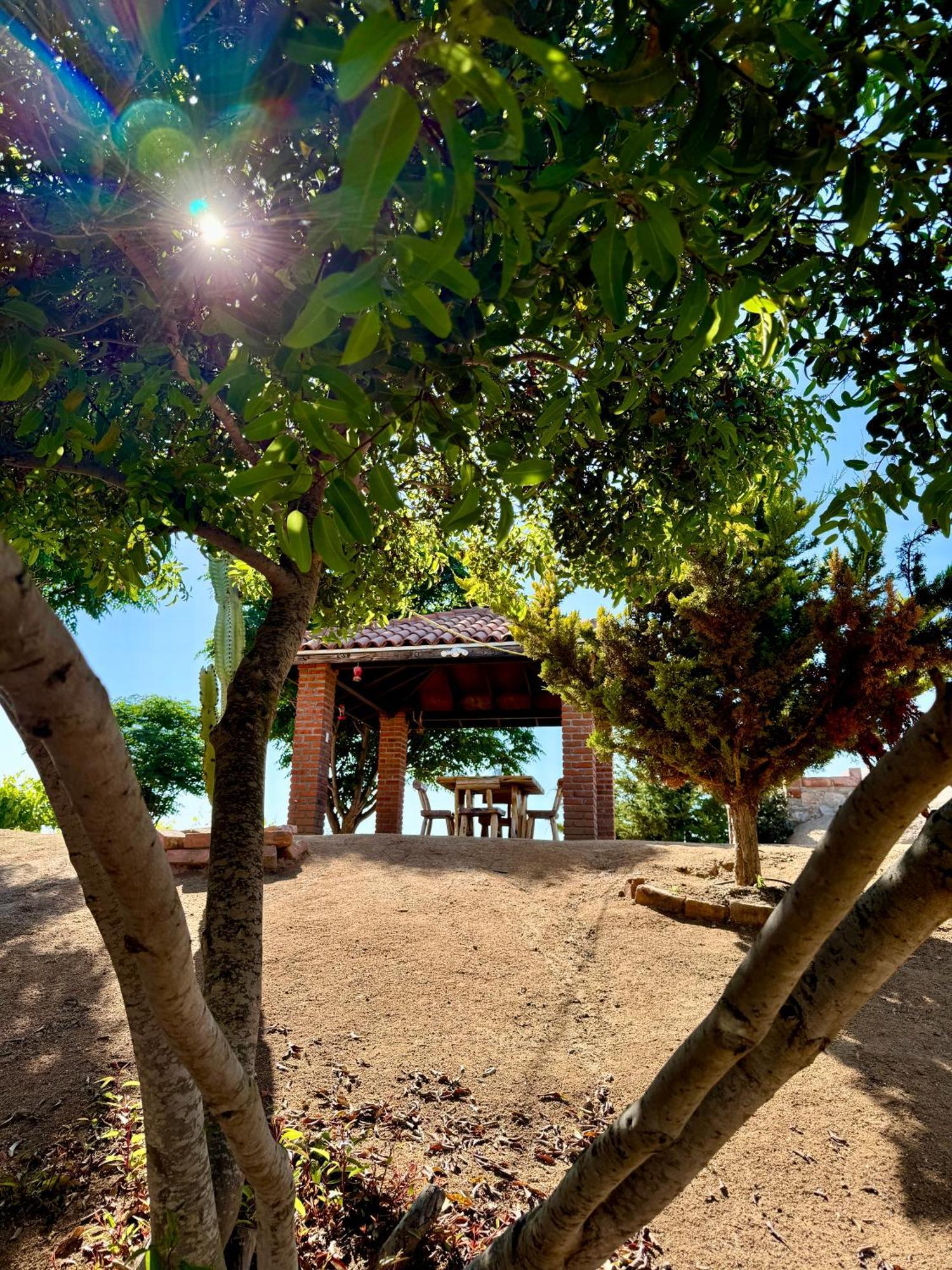 Cabanas Colibri Valle de Guadalupe Exterior foto